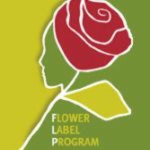 Blumen mit nur zu Weihnachtszeit von fairflower