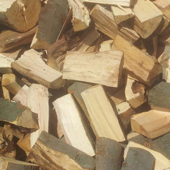 Fragen und Antworten zum Thema brennen mit Holz