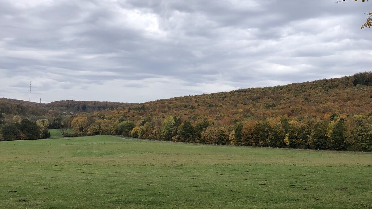 Elm – Höhenzug bei Braunschweig Bewaldeter Höhenzug Elm im Braunschweiger Land