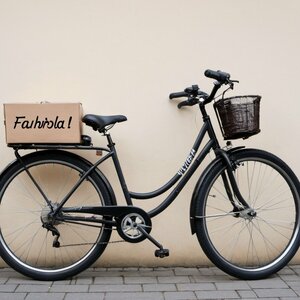 Fahrrad xxl - alles was du wissen mußt