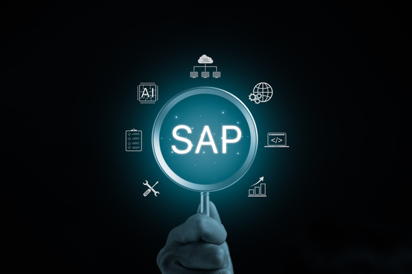 SAP ERP einfach erklärt
