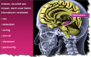 Gehirngerechte Werbebotschaften