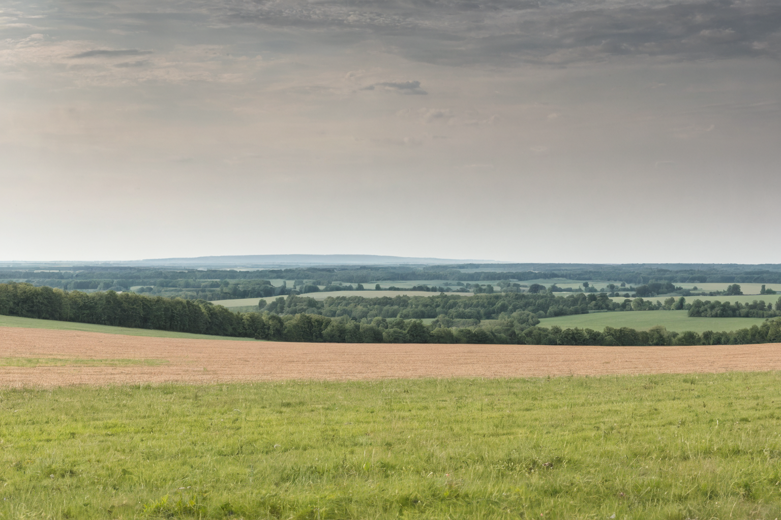 Weite Feldlandschaft mit Getreidefeld, grünen Wiesen und einem Waldstreifen am flachen Horizont unter bedecktem Himmel